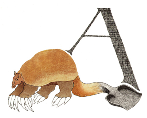 Armadillo