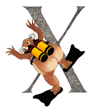 Xenopo liscio