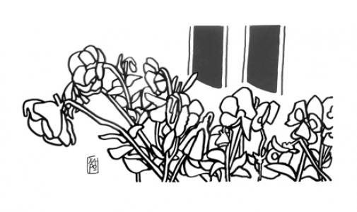 Amsterdam. flowers on a balcony