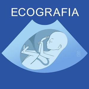 Ecografia 2 -  08.2022